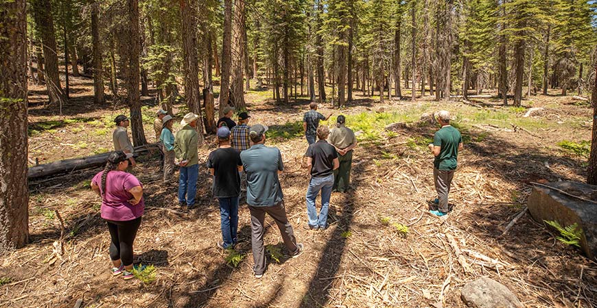 A photo shows researchers at the Tahoe National Forest.
