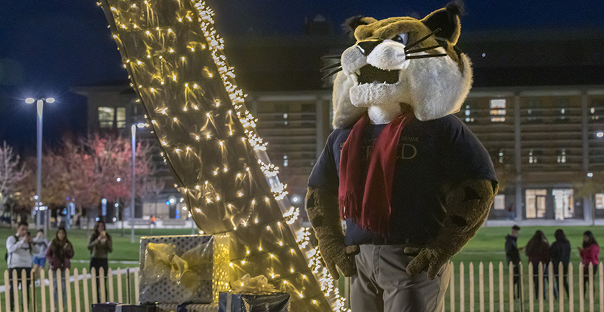 Rufus the Bobcat and the UC Merced campus community rung in the holiday season at the Beginnings lighting and food drive last week.